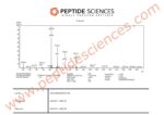 BPC-157, TB-500 10mg (Blend) - Image 4
