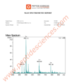 GHK-Cu 500mg (Copper Peptide) (Topical) - Image 4