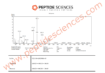 BPC-157, TB-500, GHK-Cu 30mg (Glow Blend) - Image 4