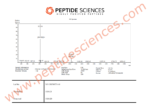 Melanotan 2 (MT2) 10mg - Image 4